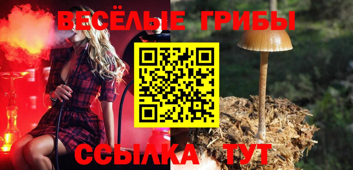 Псилоцибиновые грибы мицелий Сергиев Посад