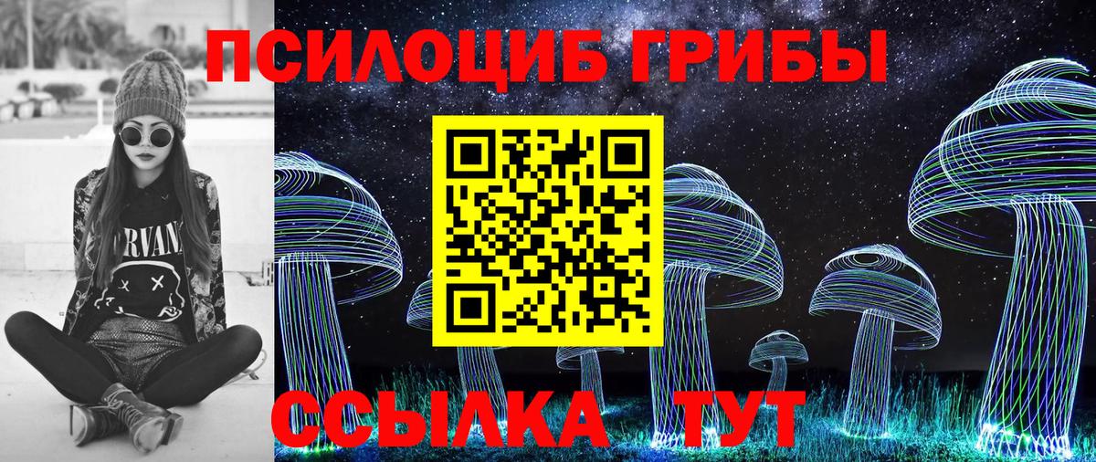Псилоцибиновые грибы Psilocybe  Галлюциногенные грибы ЛСД  Вход с VPN  Сергиев Посад 